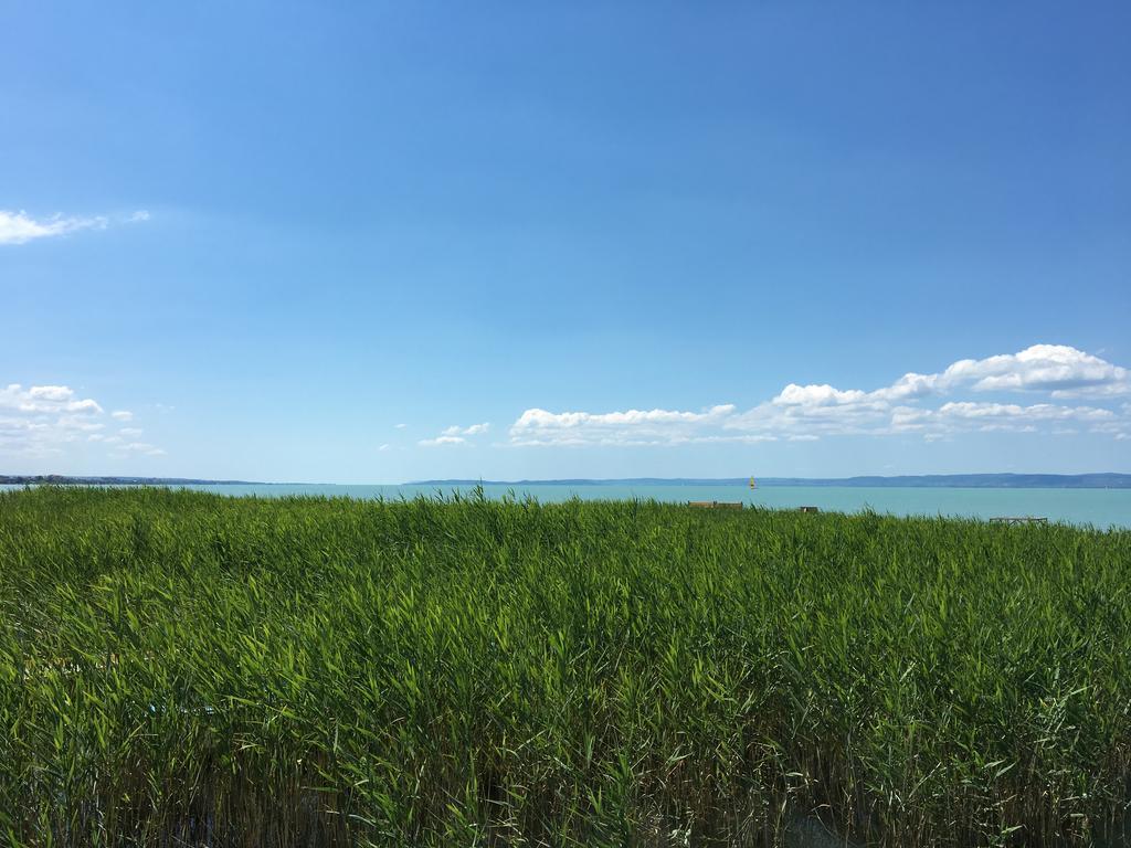 Residence At Lake Balaton شيوفوك المظهر الخارجي الصورة